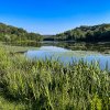 2023 Allegheny County North Park Lake (Summer) - Photos_ AcrossNorthHills-21