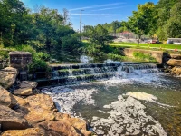 2023 Allegheny County North Park Lake (Summer) - Photos_ AcrossNorthHills-05