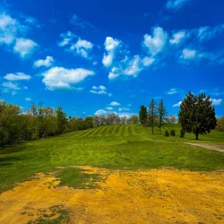 Harmoney Ridge - Ambridge - April 2024-24