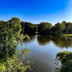 2023 Allegheny County North Park Lake (Summer) - Photos_ AcrossNorthHills-26