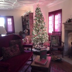 Hartwood Acres Holiday Mansion Tours